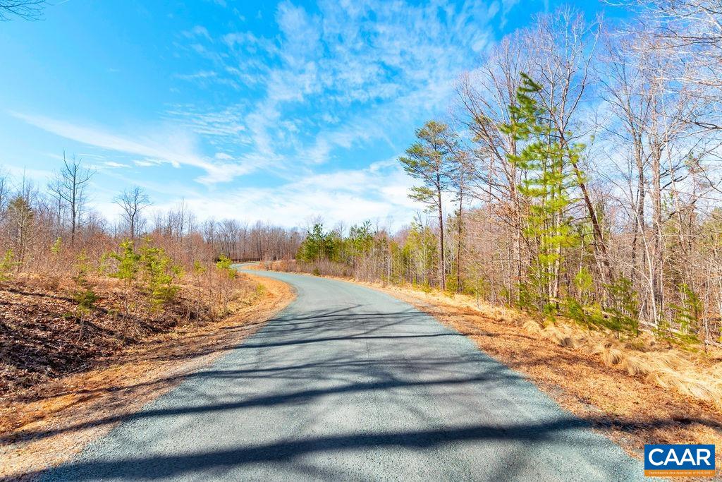 38 Bybee Estates Lane Palmyra, VA 22963 - Photo 5 of 30 a view of backyard with wooden fence