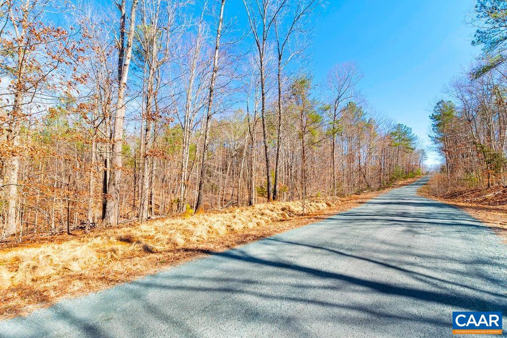 38 Bybee Estates Lane Palmyra, VA 22963 - Photo 8 of 30 a view of a backyard of white house