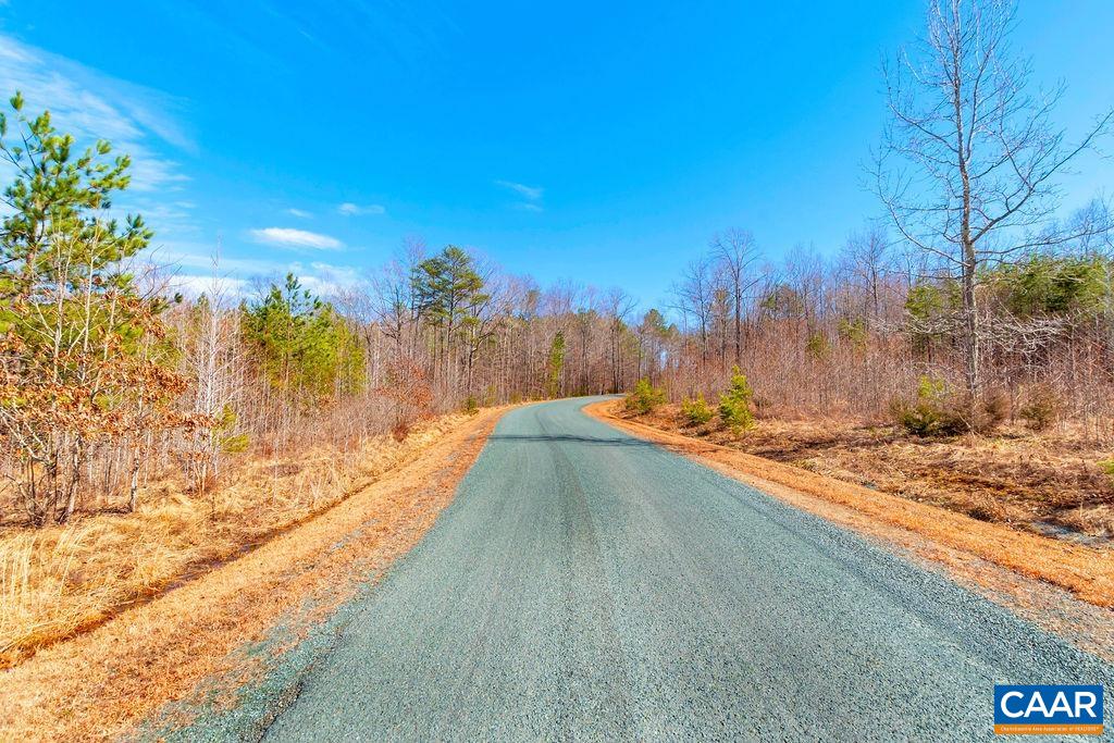 38 Bybee Estates Lane Palmyra, VA 22963 - Photo 9 of 30 a view of a yard with trees