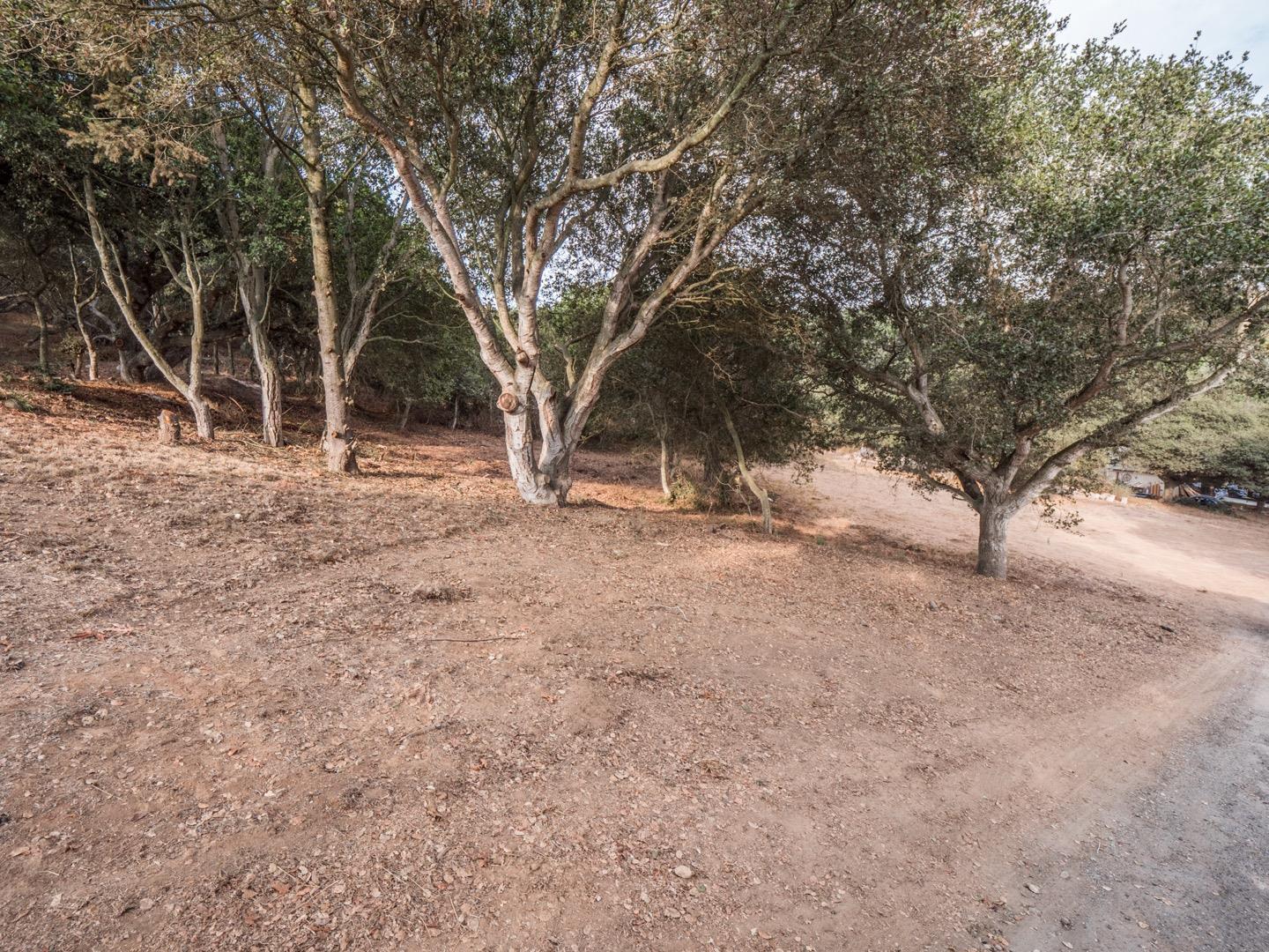 1172 Via Del Sol Road Prunedale, CA 93907 - Photo 45 of 51 Gallery Image 45