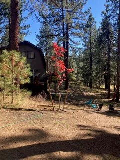 $90,000 | 1063 Buckskin Lane, Portola, CA 96122