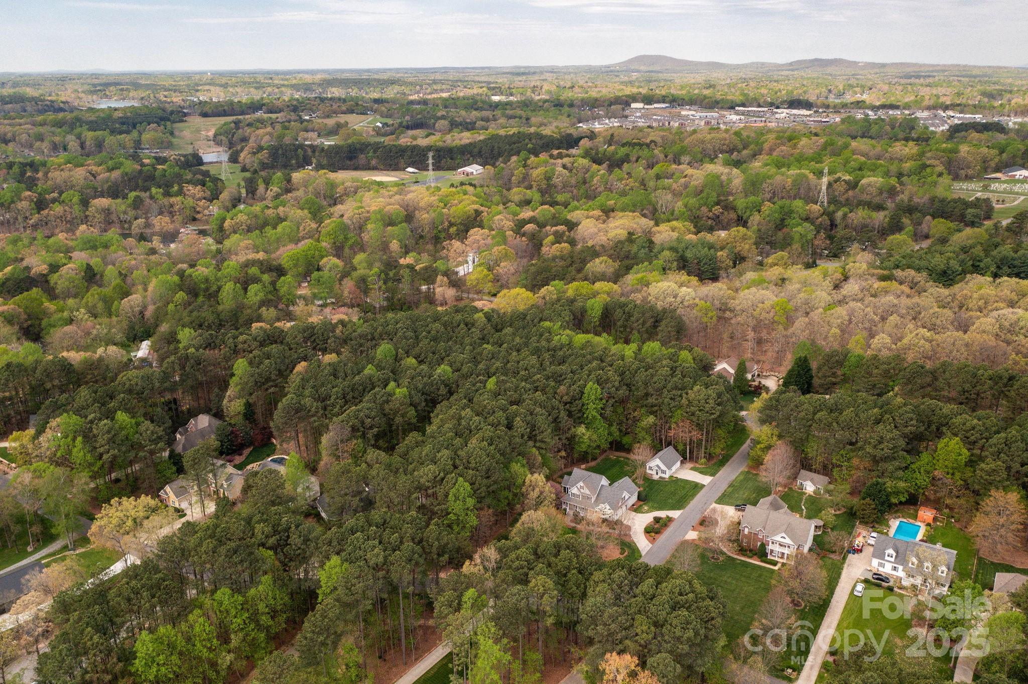 8487 Mayflower Court Terrell, NC 28682 - Photo 6 of 11