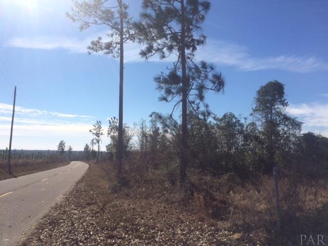 Lot 101 Walling Road Milton, FL 32570 - Photo 1 of 5 Gallery Image 1