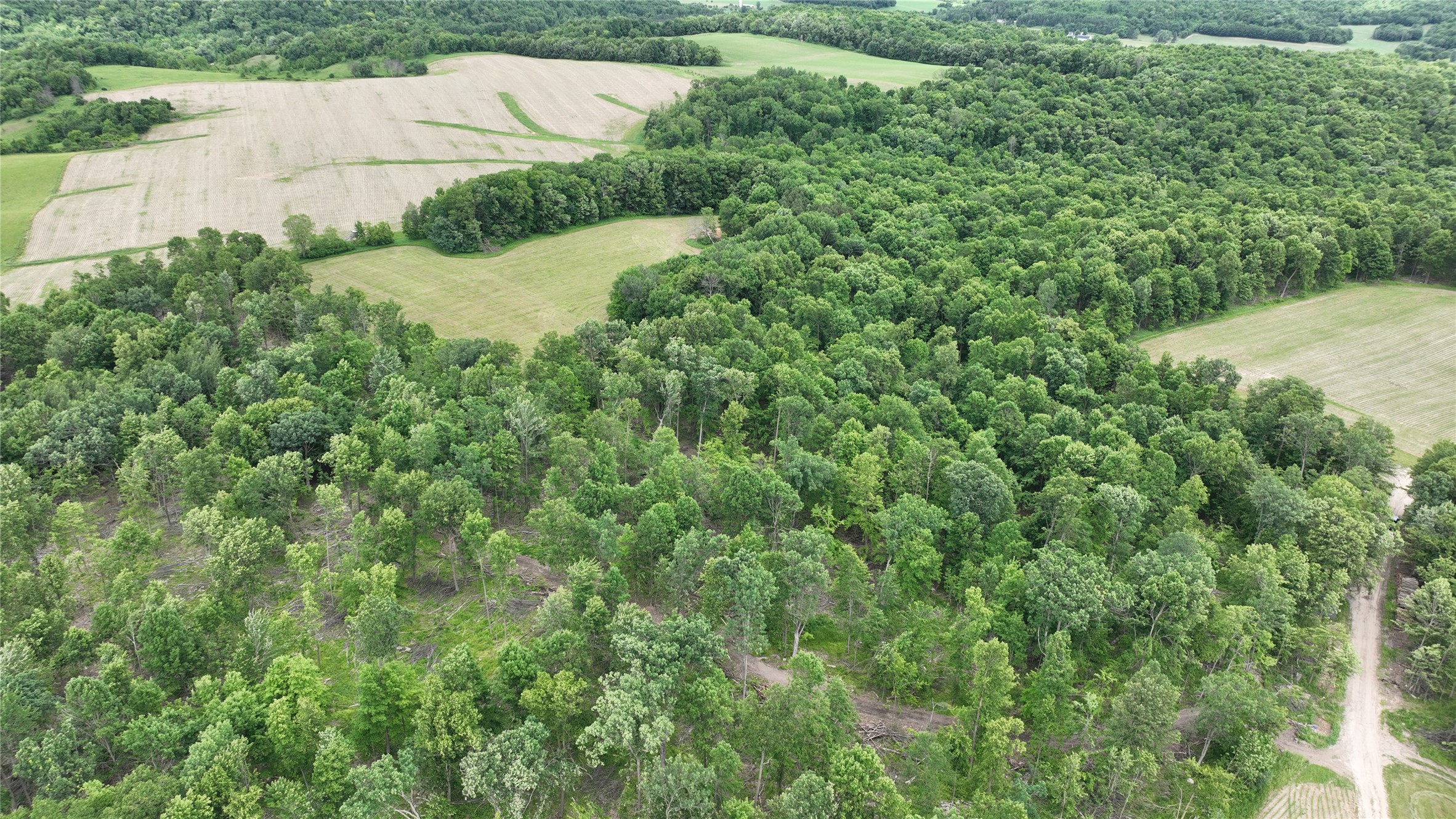 Xx County Rd Q Downing, WI 54734 - Photo 24 of 45