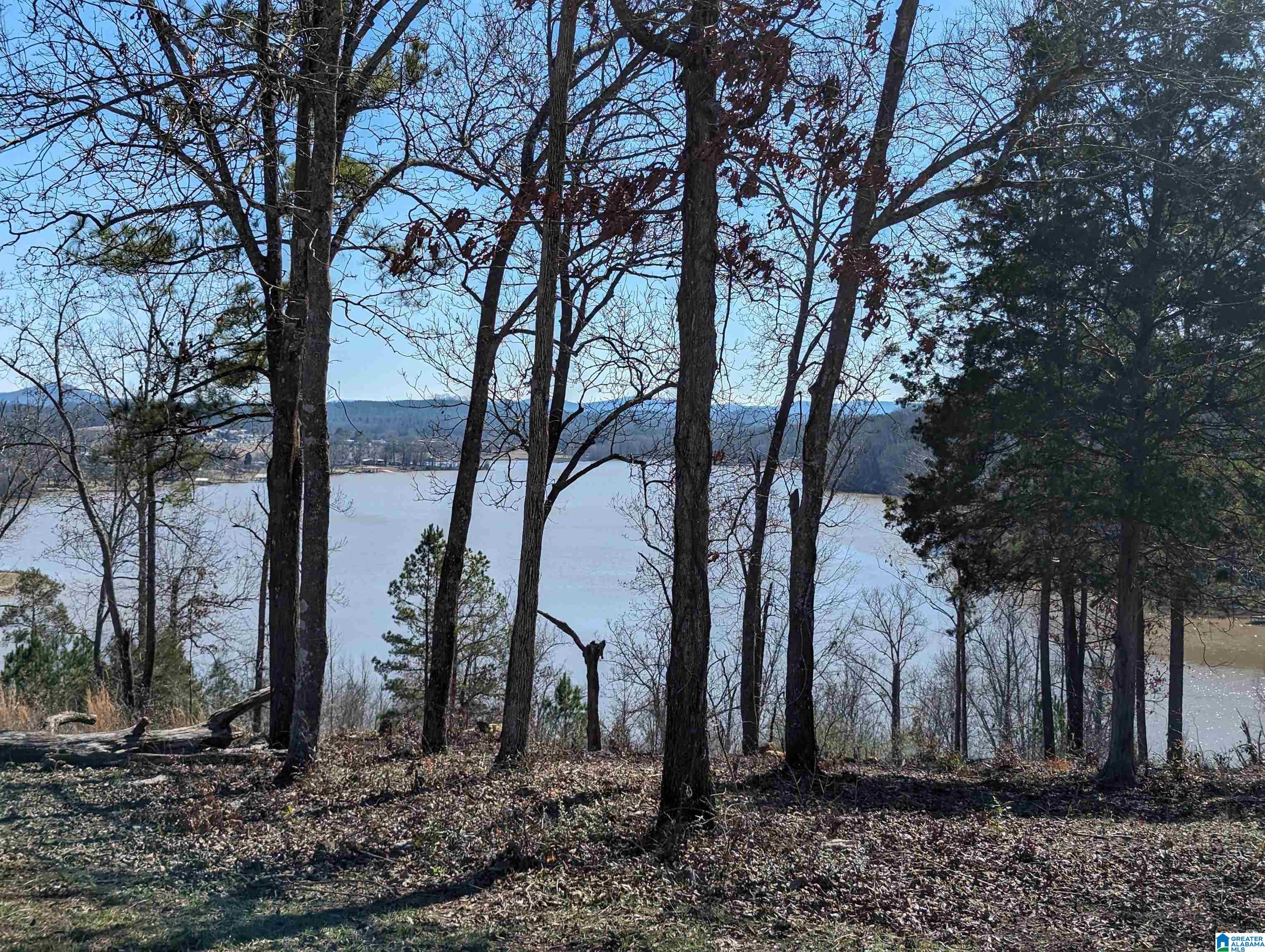 0 Overlook Ridge Lincoln, AL 35096 - Photo 6 of 33