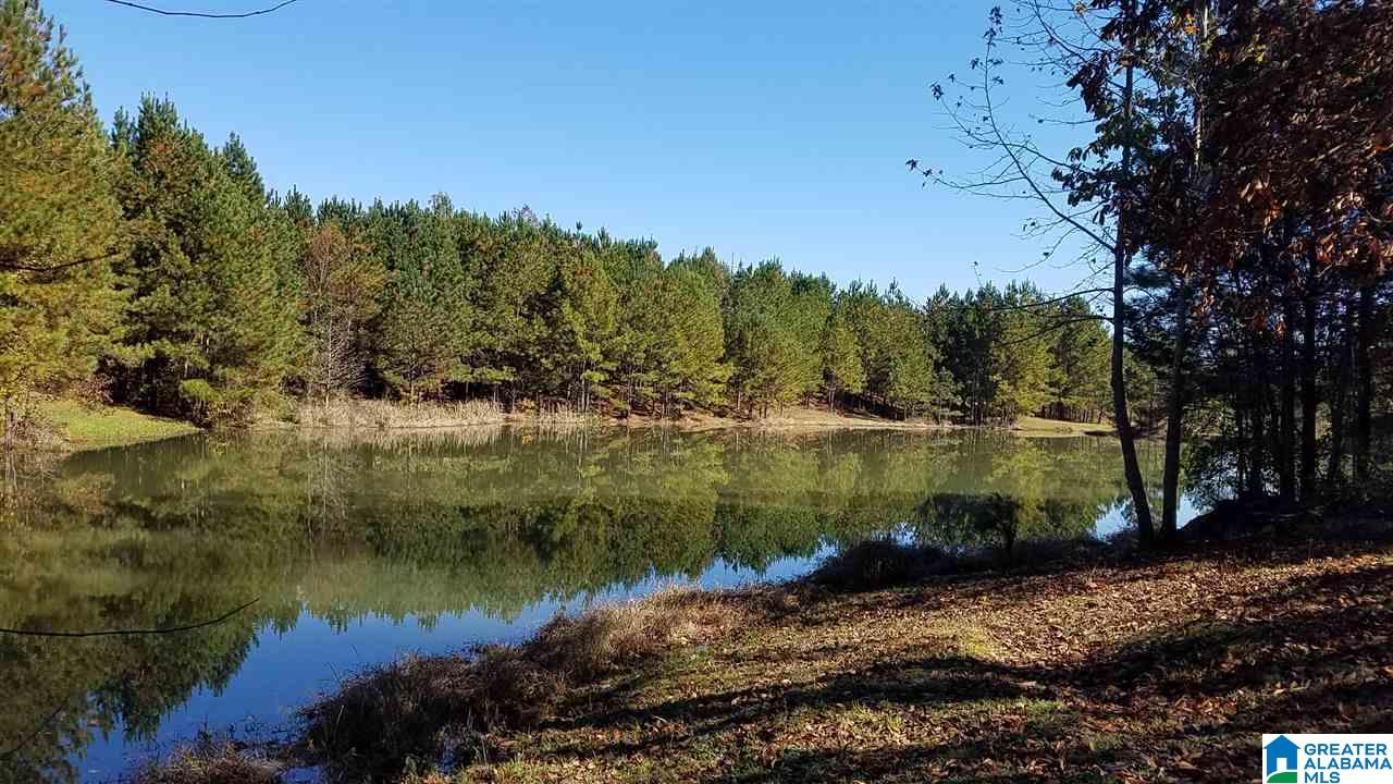 298 Bowerman Road Blountsville, AL 35031 - Photo 30 of 30