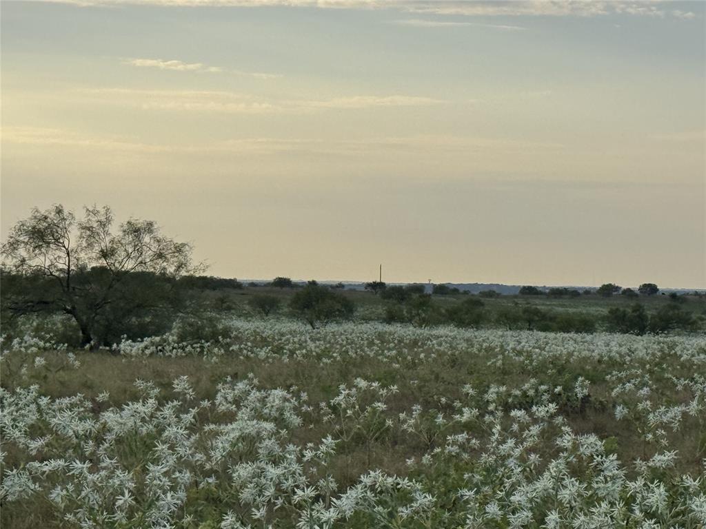 173 Private Road 2202 Decatur, TX 76234 - Photo 2 of 5 a view of a field of grass and mountain