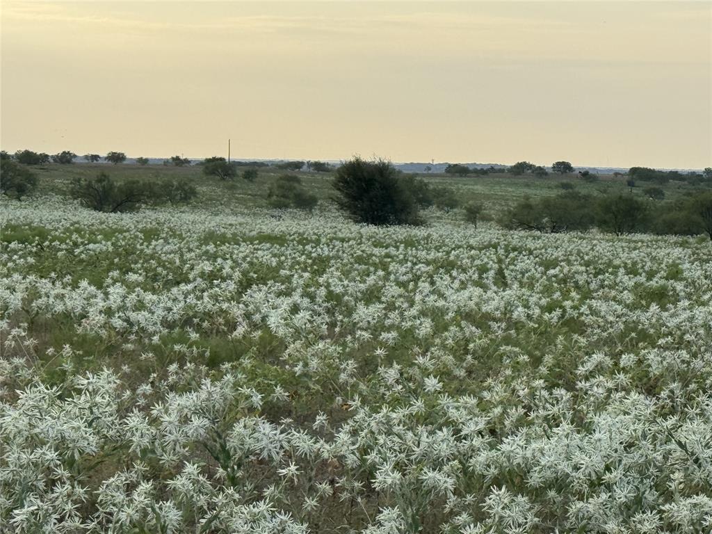 173 Private Road 2202 Decatur, TX 76234 - Photo 3 of 5 a view of a field of grass and trees