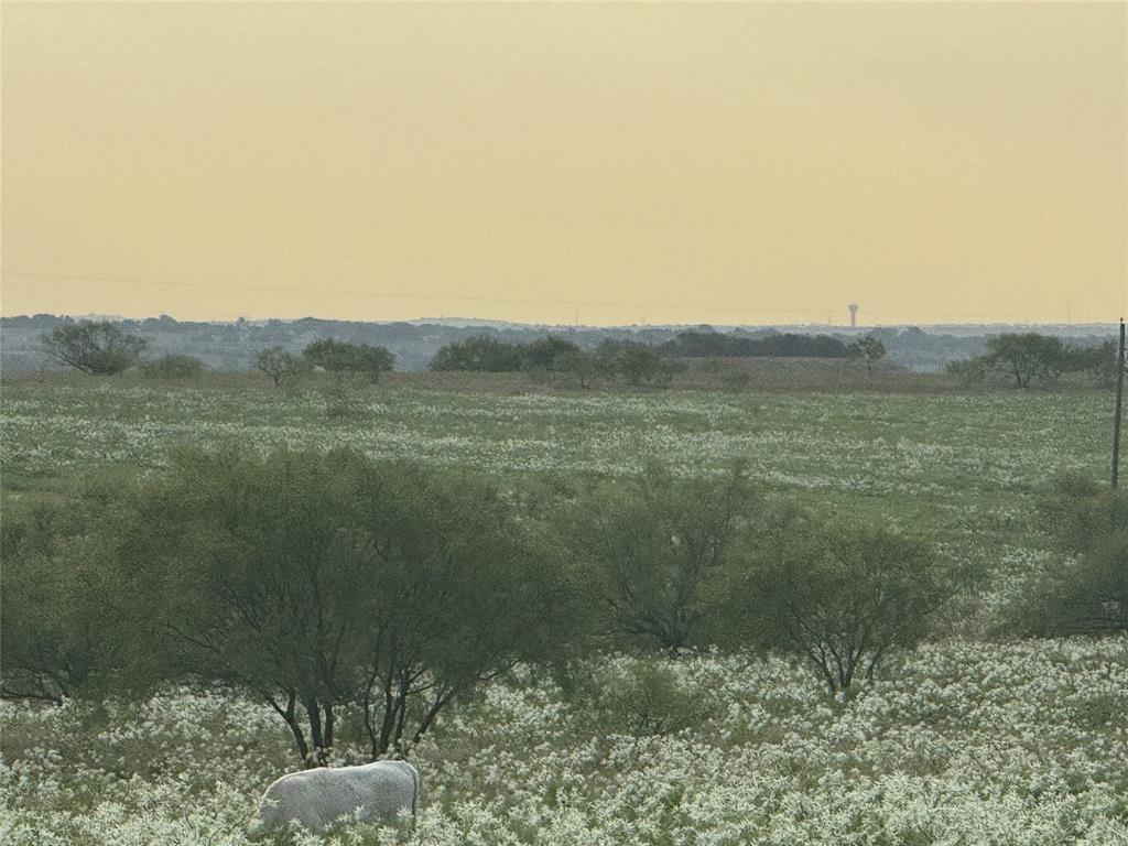173 Private Road 2202 Decatur, TX 76234 - Photo 4 of 5 a view of a small yard
