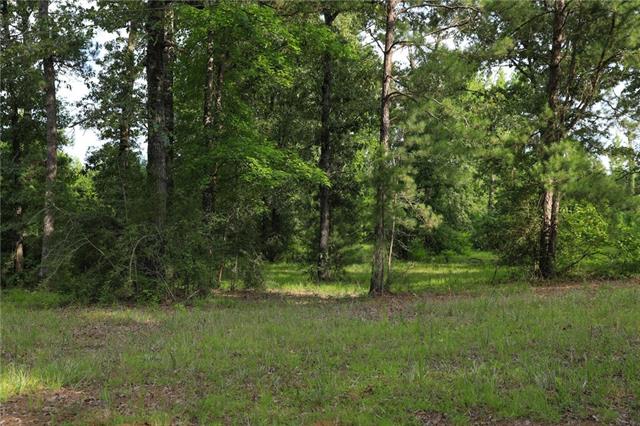 653 Ebenezer Cemetery Road Leesville, LA 71446 - Photo 25 of 30