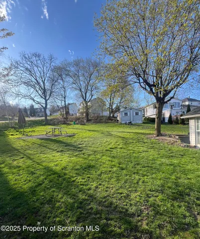 a view of a yard with a large tree