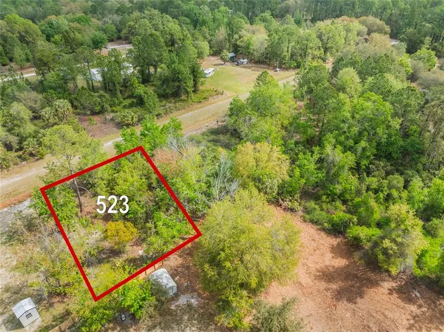 a view of a yard with plants