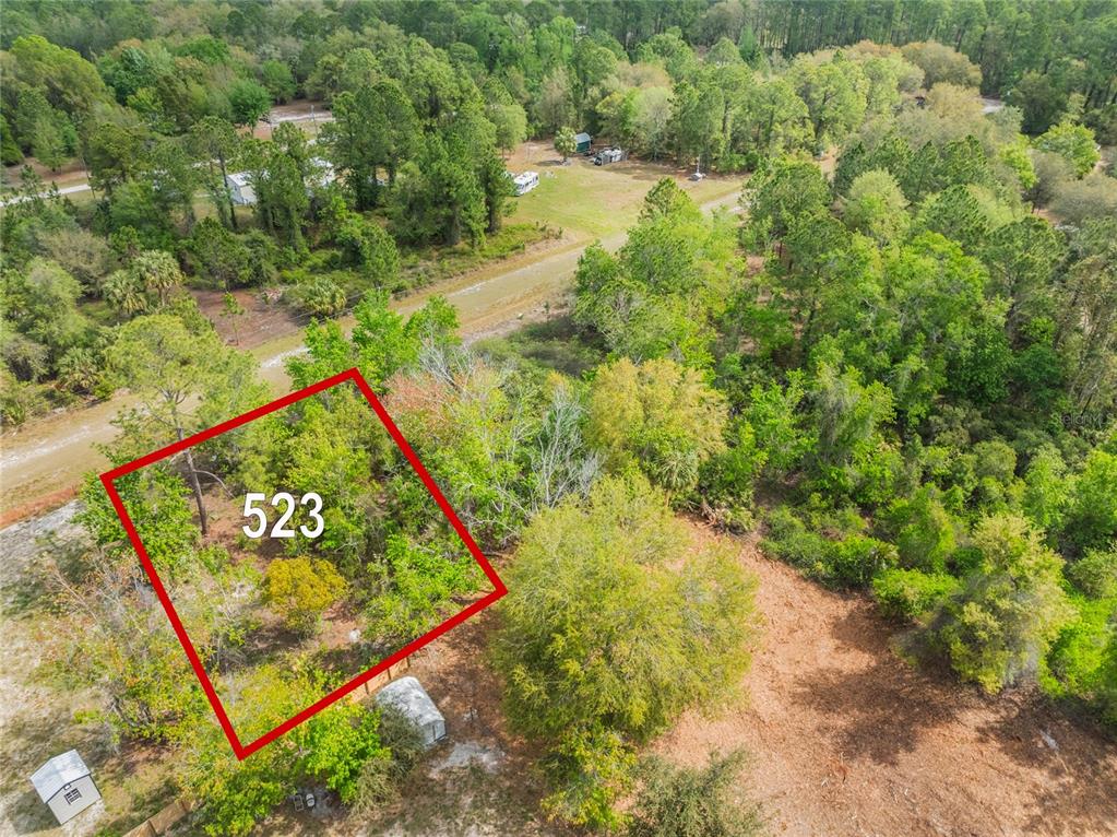 a view of a yard with plants