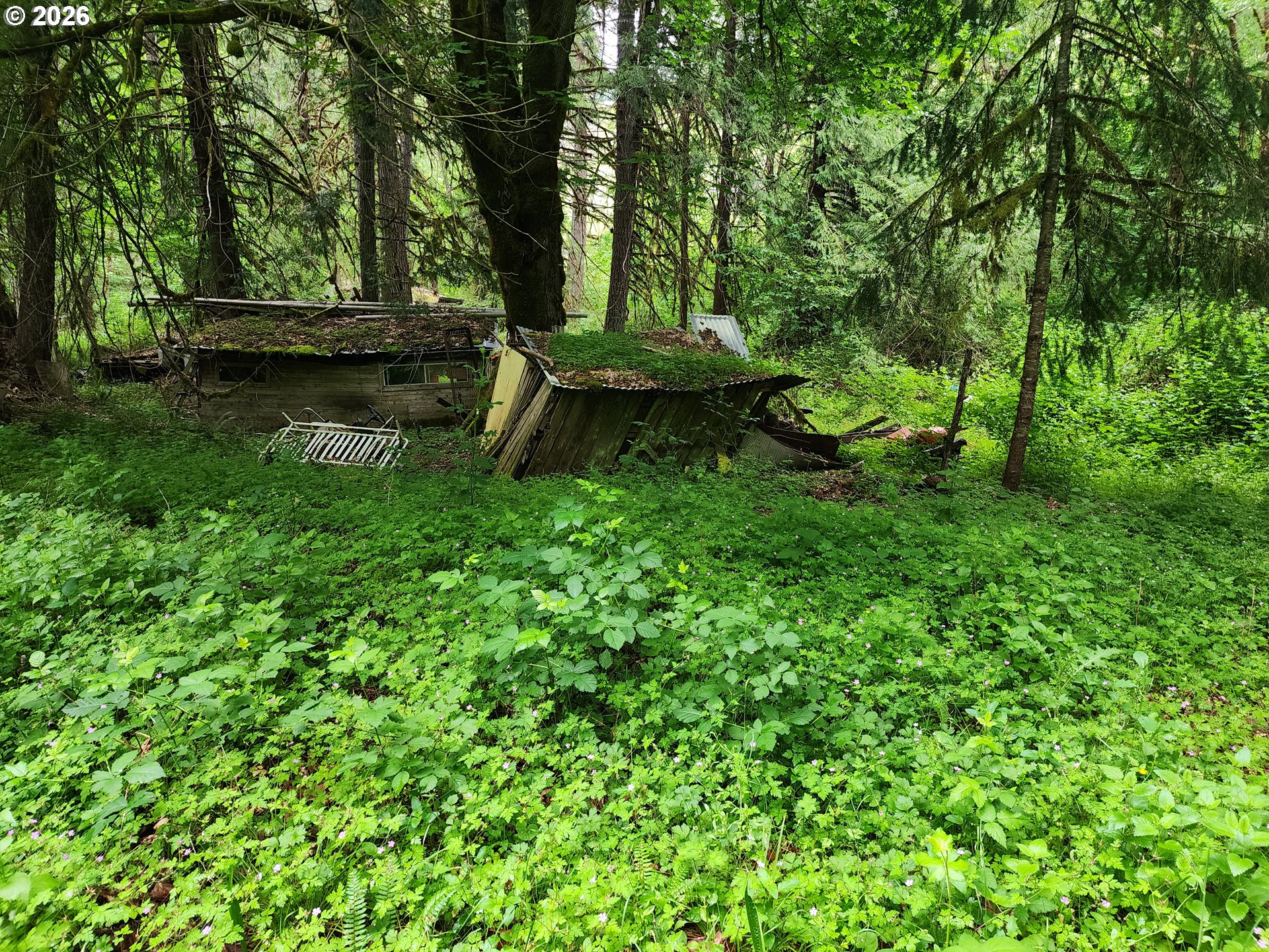 0 Louis Creek Road Myrtle Creek, OR 97457 - Photo 17 of 20