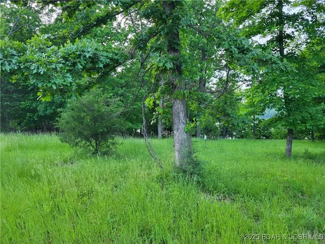 $125,000 | Emerald Hills Drive, Edwards, MO 65326