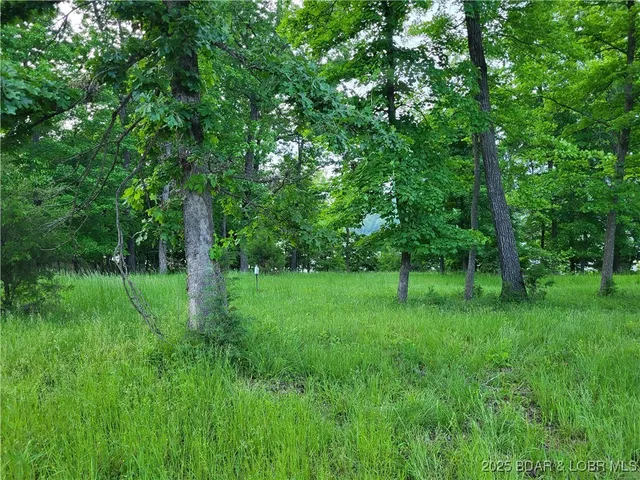 $125,000 | Emerald Hills Drive, Edwards, MO 65326