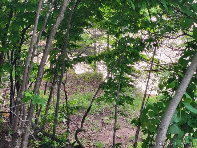 $125,000 | Emerald Hills Drive, Edwards, MO 65326