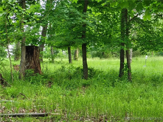 $125,000 | Emerald Hills Drive, Edwards, MO 65326