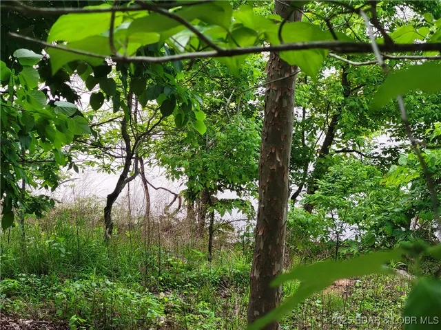 $125,000 | Emerald Hills Drive, Edwards, MO 65326