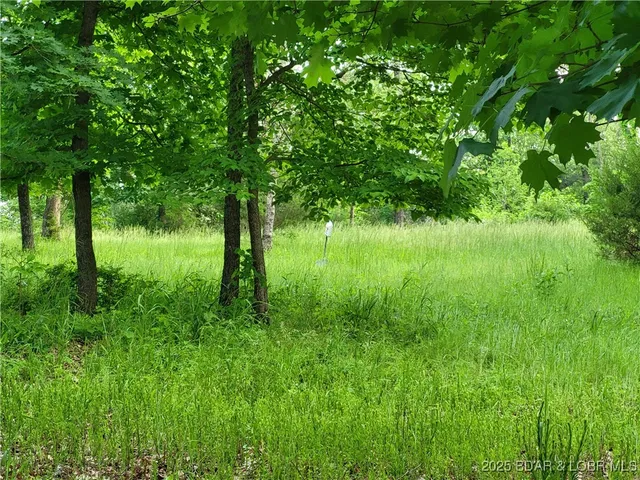 $125,000 | Emerald Hills Drive, Edwards, MO 65326