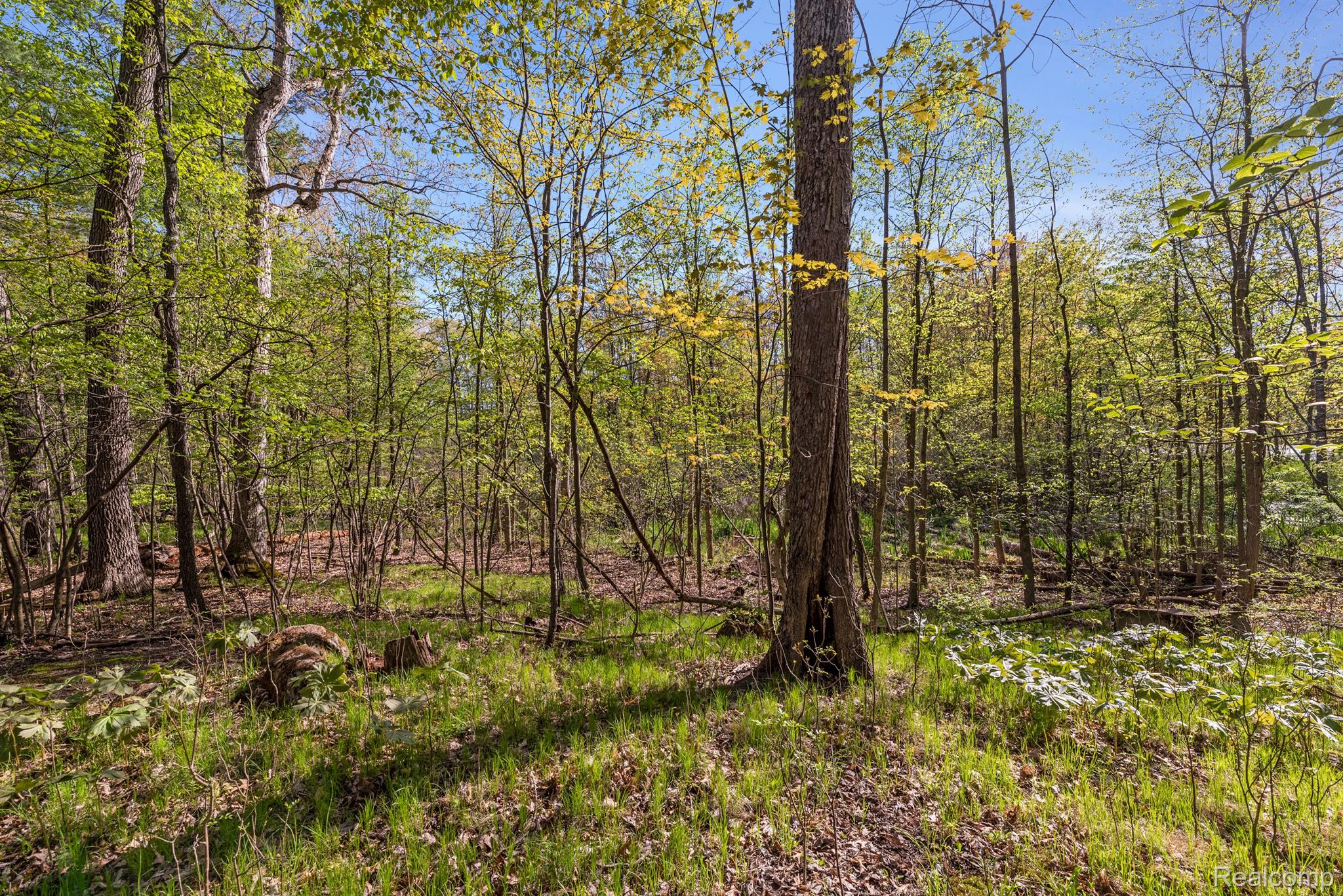 4975 Diehl Road Metamora, MI 48455 - Photo 59 of 65