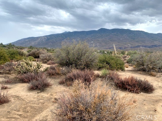 238 Casino Road Mountain Center, CA 92561 - Photo 7 of 10 a view of a yard with mountain
