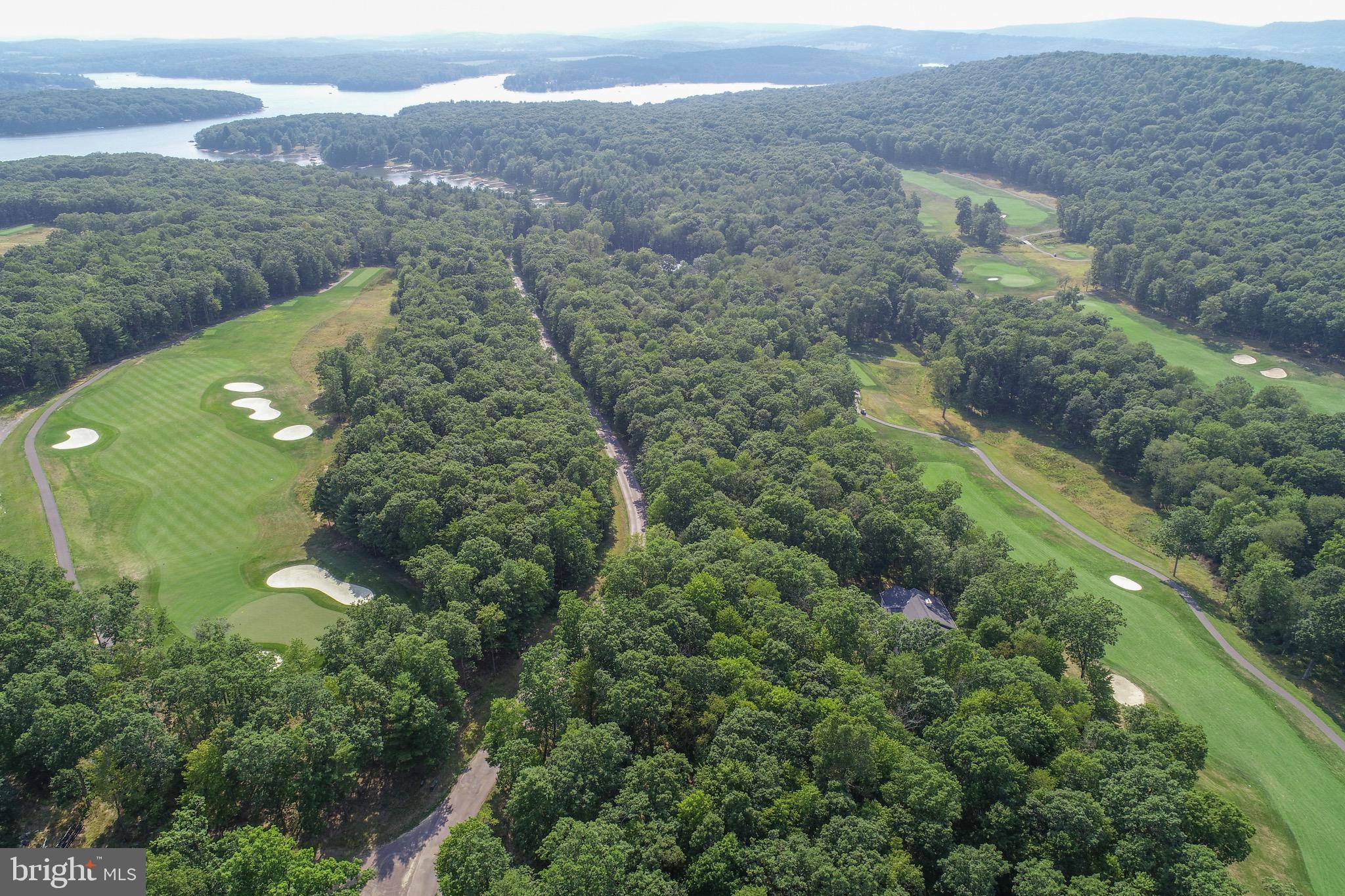 1 Thousand Acres Road Swanton, MD 21561 - Photo 2 of 14 Gallery Image 2