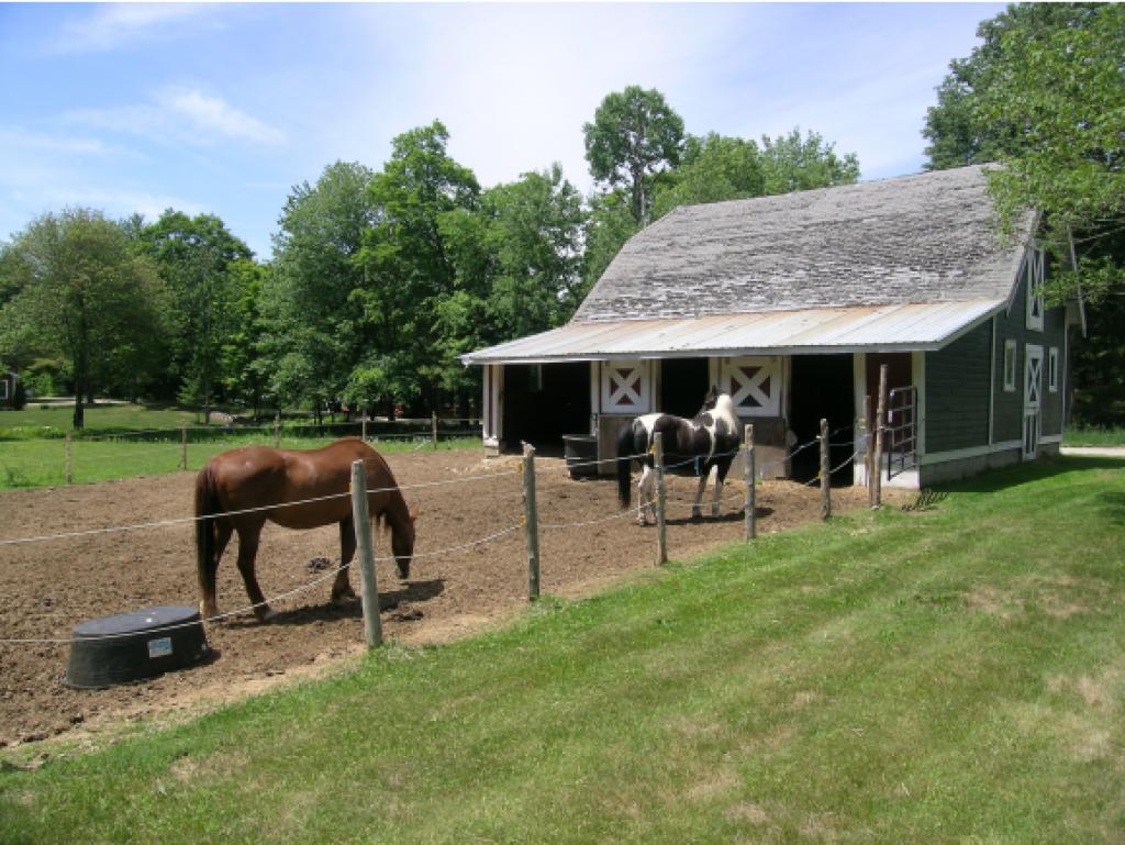 290 Mattson Road Chester, VT 05143 - Photo 8 of 30