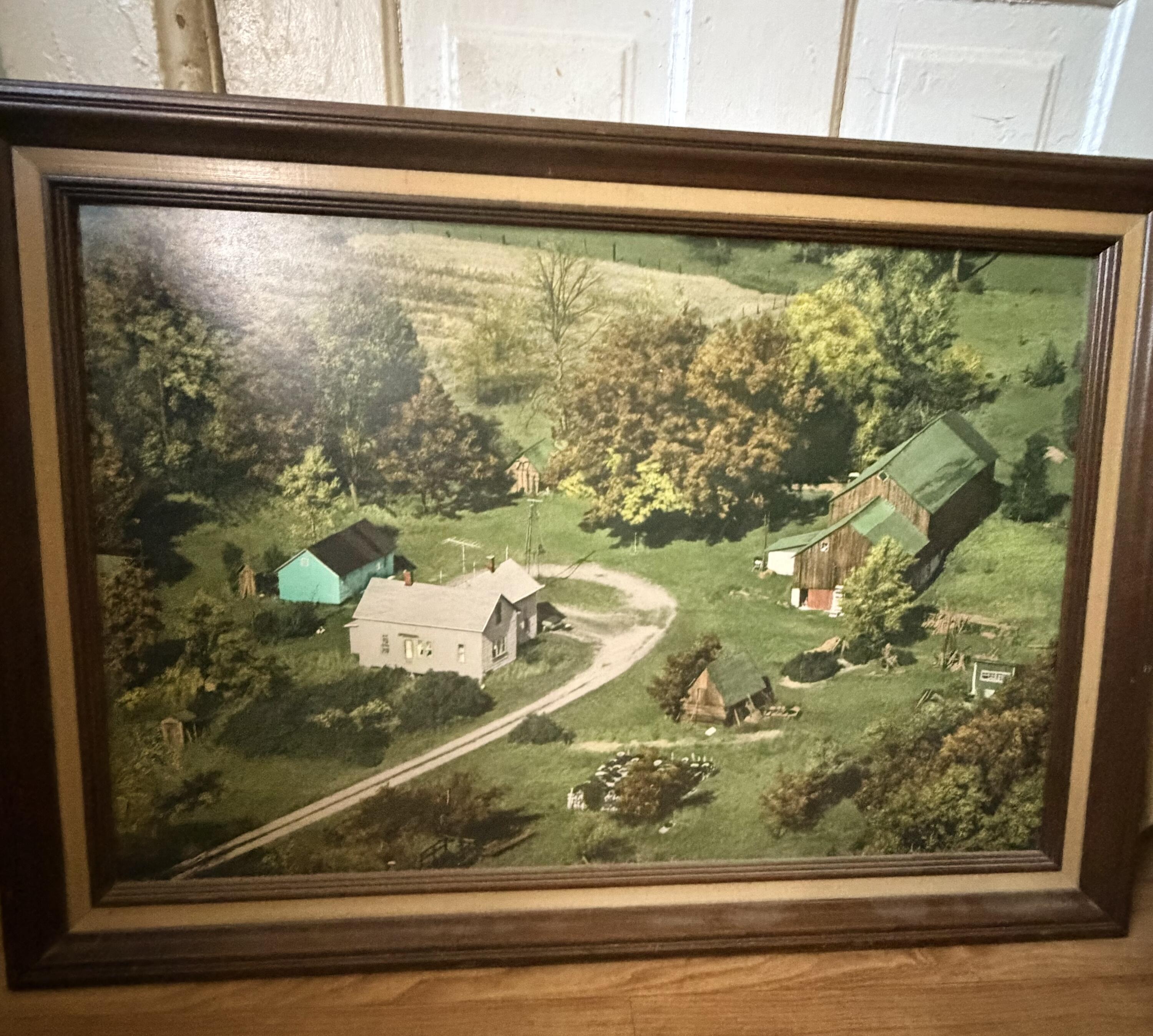 794 East Fox Farm Road Manistee, MI 49660 - Photo 21 of 31 The Farm