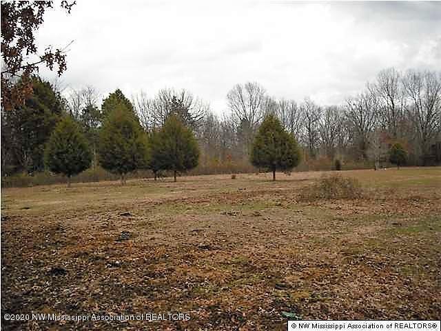 1750 Mays Road Coldwater, MS 38618 - Photo 8 of 8 Open Land