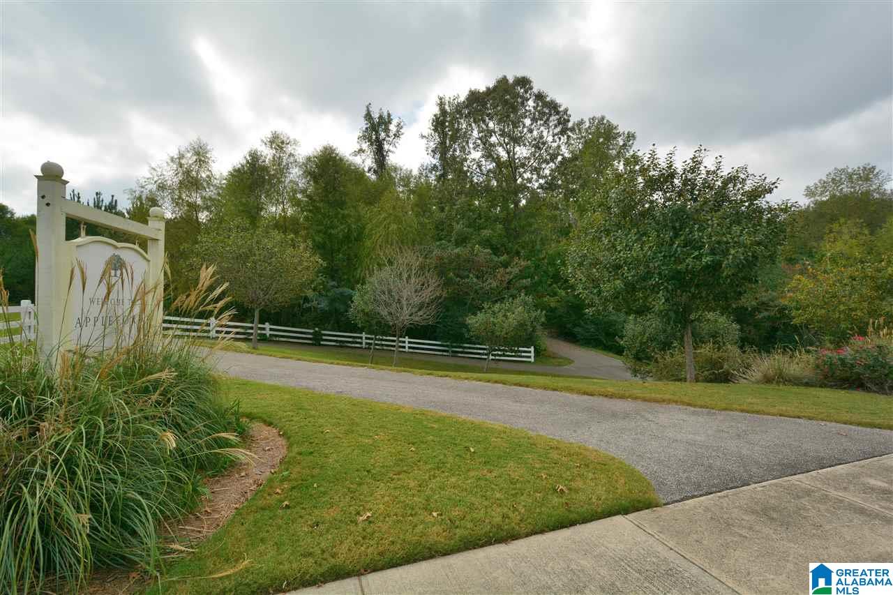 434 Appleford Road Helena, AL 35080 - Photo 46 of 48