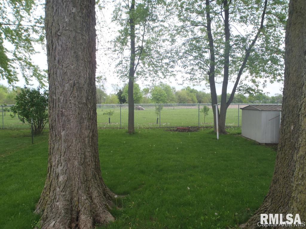 119 Aarup Street Springfield, IL 62703 - Photo 6 of 15