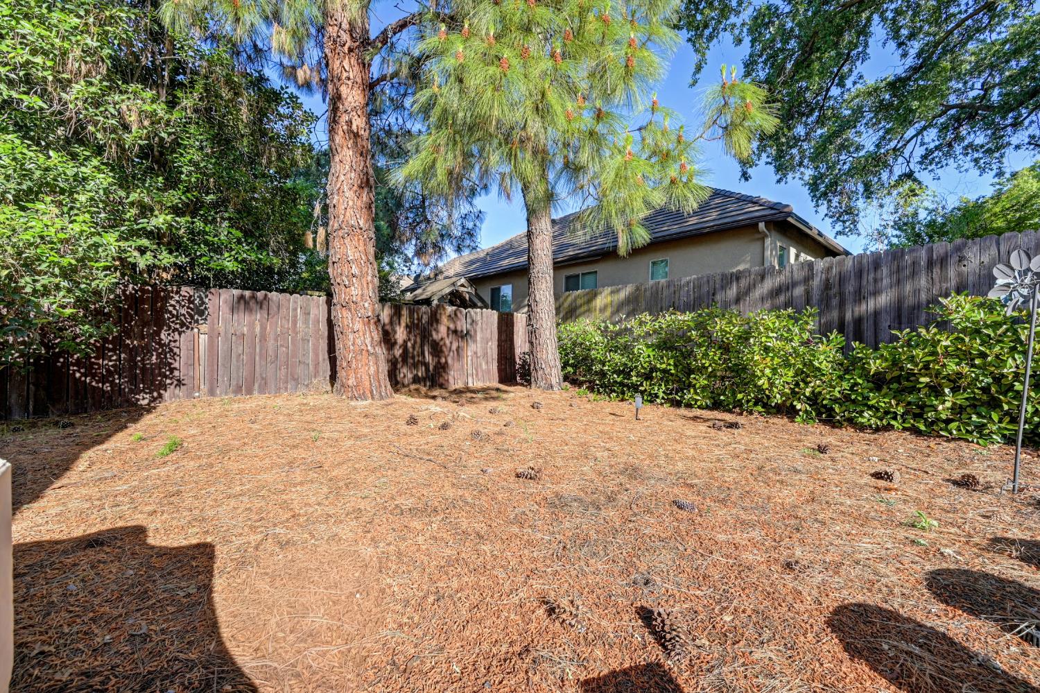 9077 Westeria Way Orangevale, CA 95662 - Photo 46 of 50