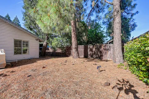 a backyard of a house with a tree