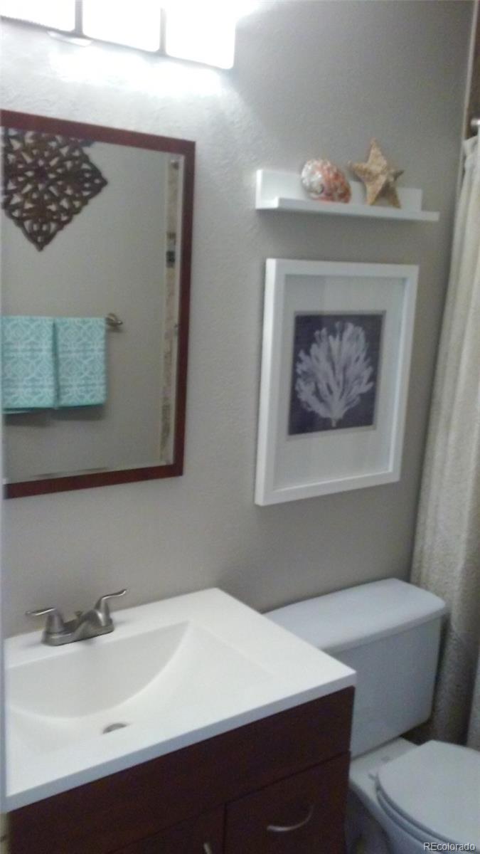 8539 Rabbitbrush Way Parker, CO 80134 - Photo 17 of 21 Gallery Image 17