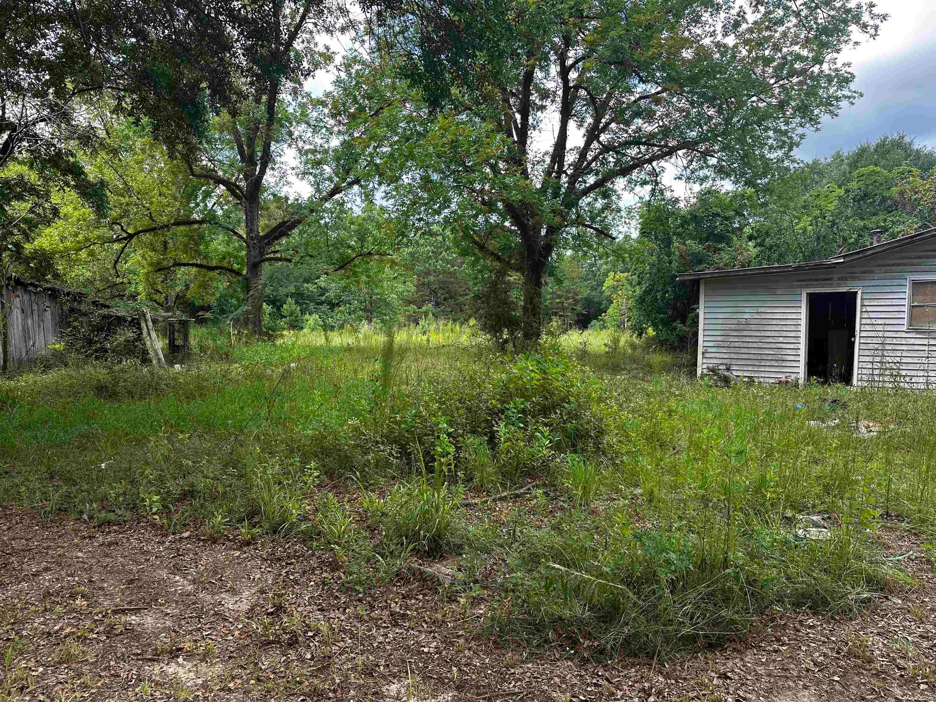 32275 Rose Hill Road Dozier, AL 36028 - Photo 14 of 16 Gallery Image 14
