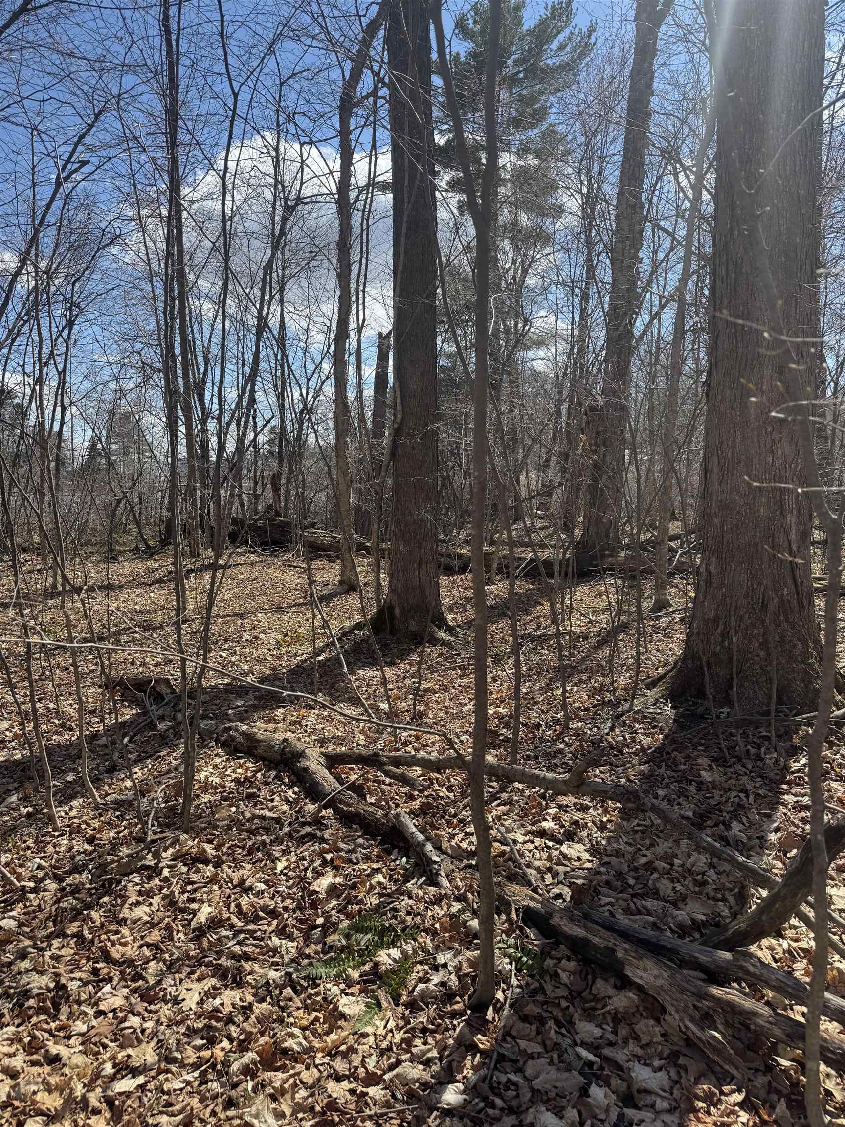 0 North Pond Road Salisbury, VT 05769 - Photo 11 of 31