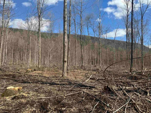 $327,500 | 0 North Pond Road, Salisbury, VT 05769