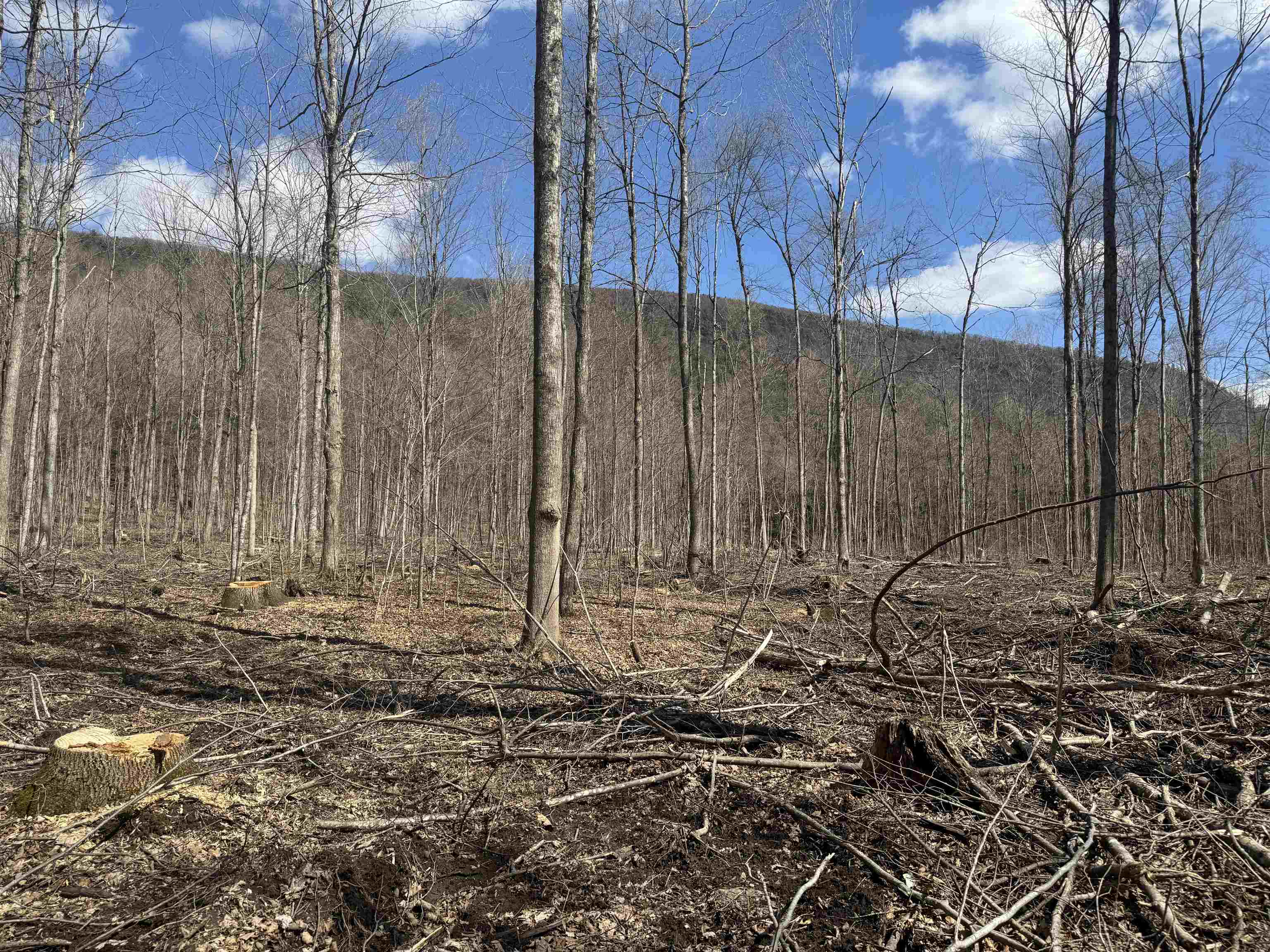 0 North Pond Road Salisbury, VT 05769 - Photo 13 of 31