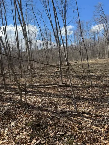 $327,500 | 0 North Pond Road, Salisbury, VT 05769