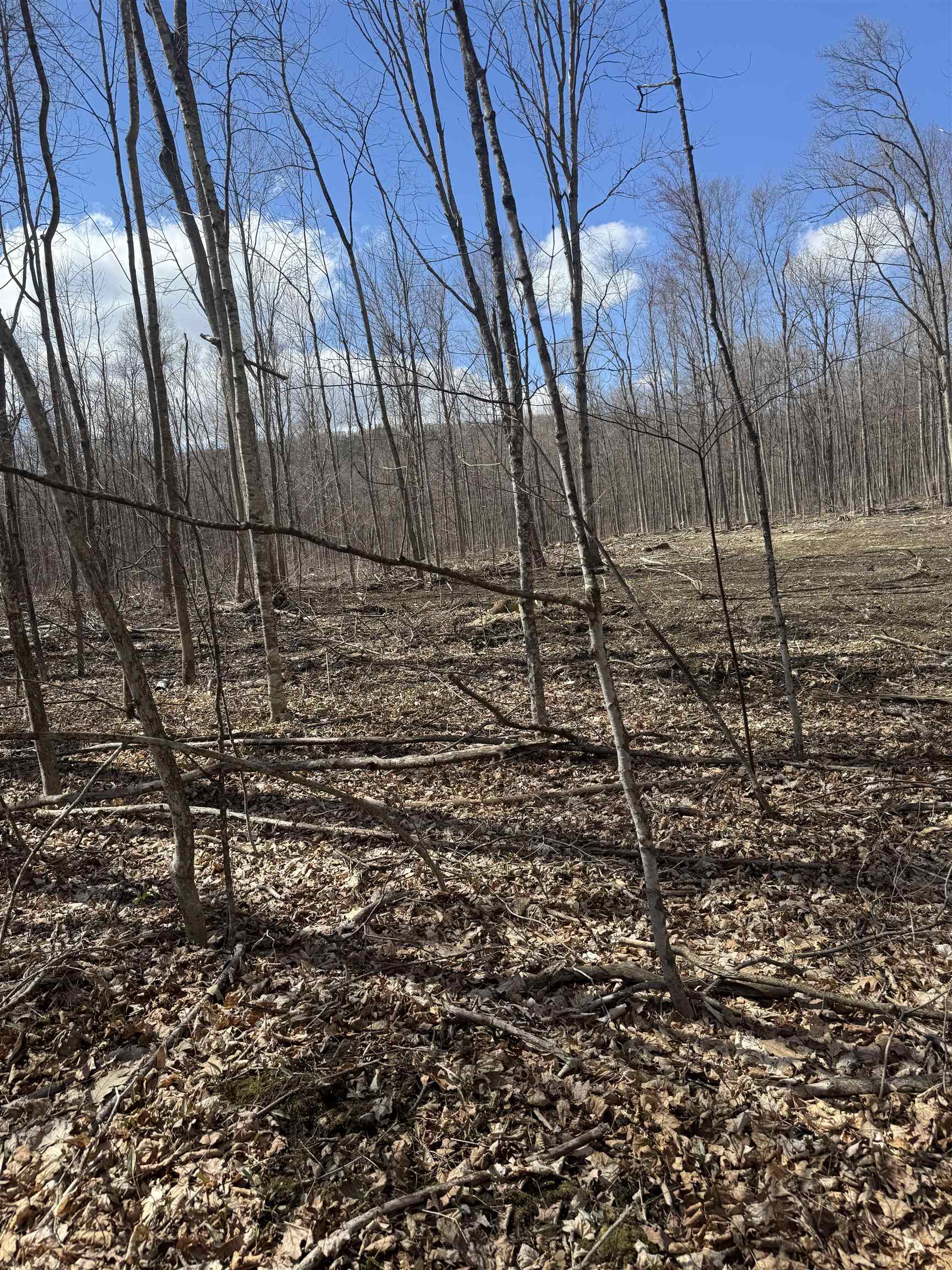 0 North Pond Road Salisbury, VT 05769 - Photo 14 of 31