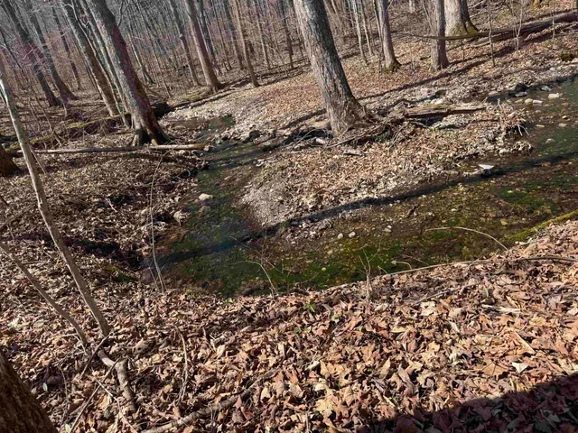 $327,500 | 0 North Pond Road, Salisbury, VT 05769