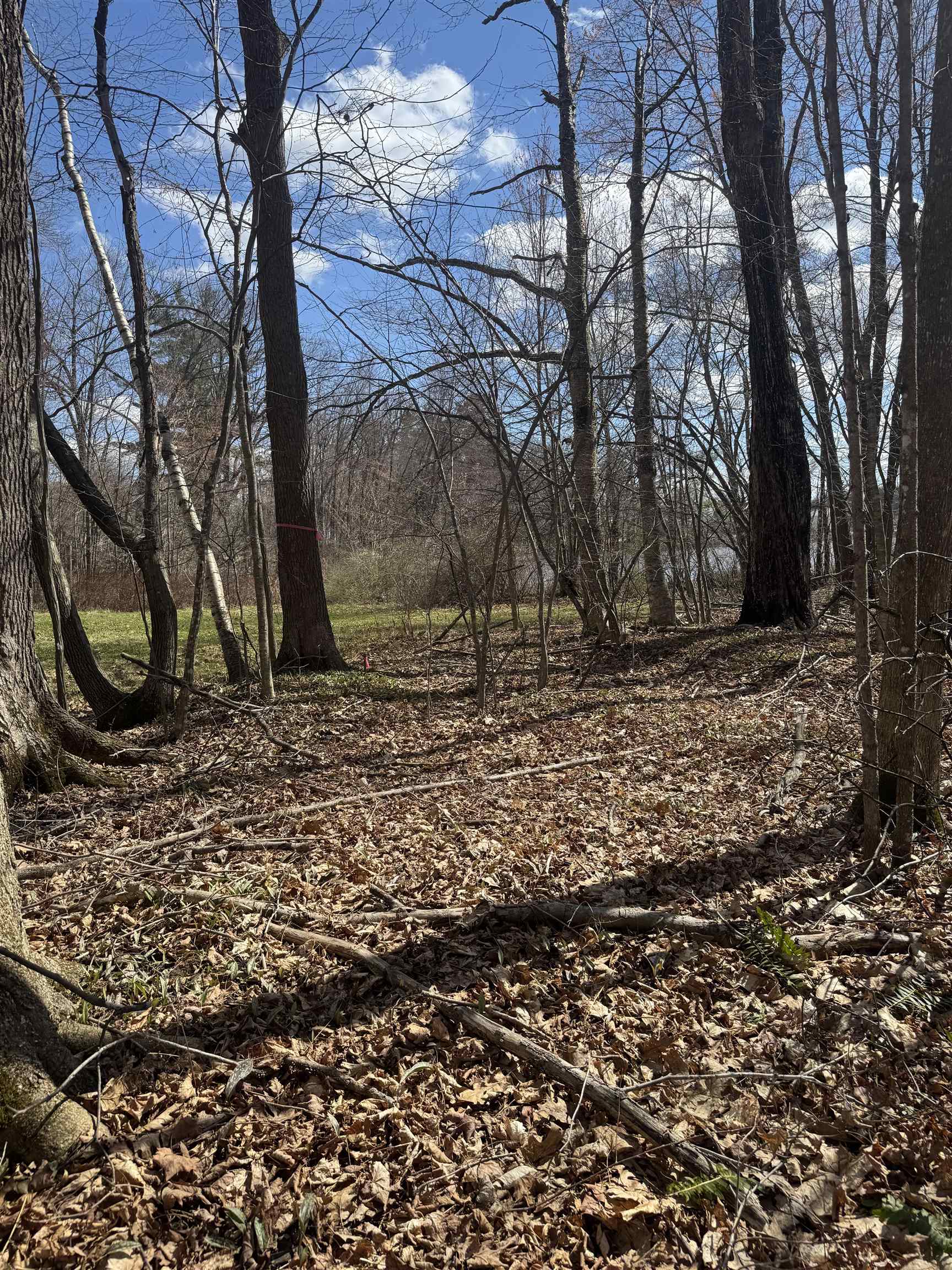 0 North Pond Road Salisbury, VT 05769 - Photo 16 of 31