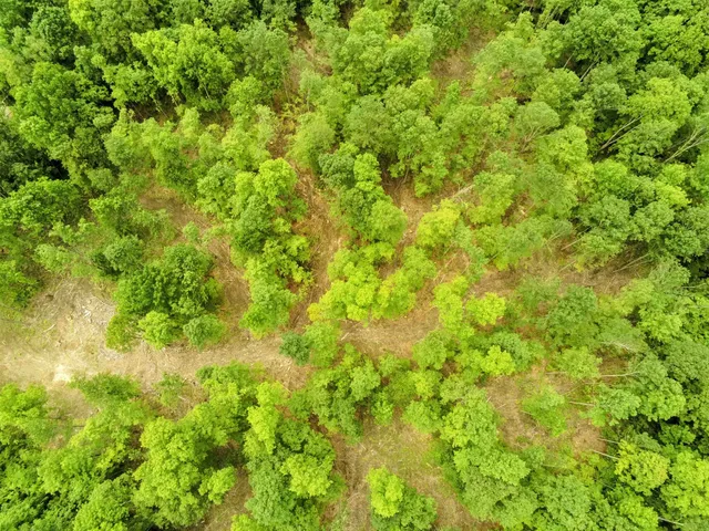 $327,500 | 0 North Pond Road, Salisbury, VT 05769