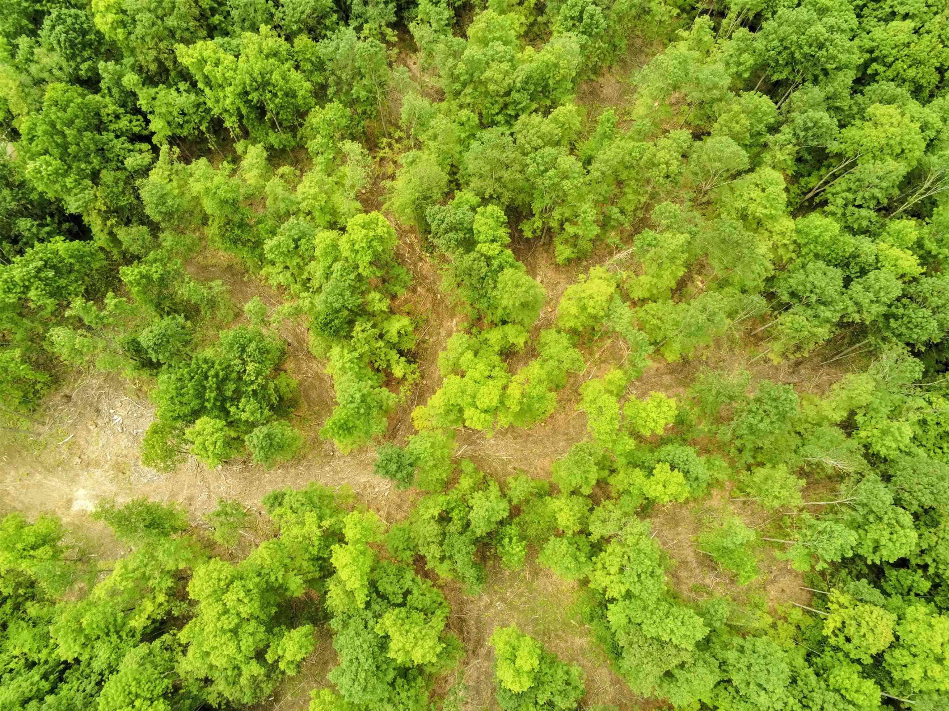 0 North Pond Road Salisbury, VT 05769 - Photo 19 of 31