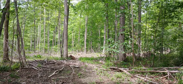 $327,500 | 0 North Pond Road, Salisbury, VT 05769