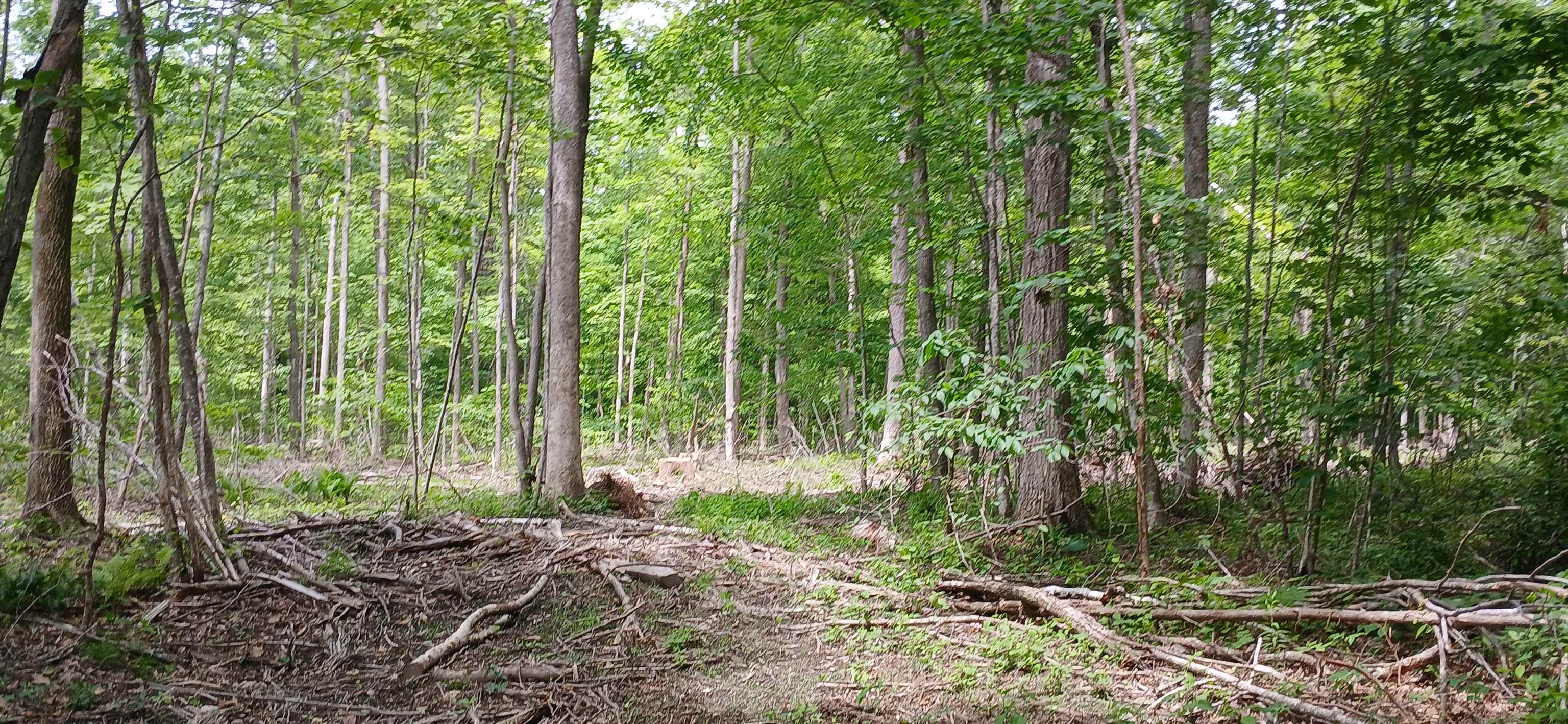 0 North Pond Road Salisbury, VT 05769 - Photo 20 of 31