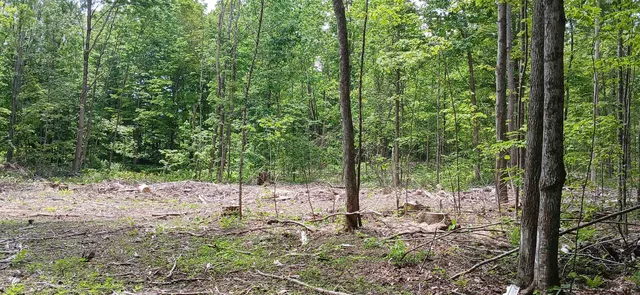 $327,500 | 0 North Pond Road, Salisbury, VT 05769