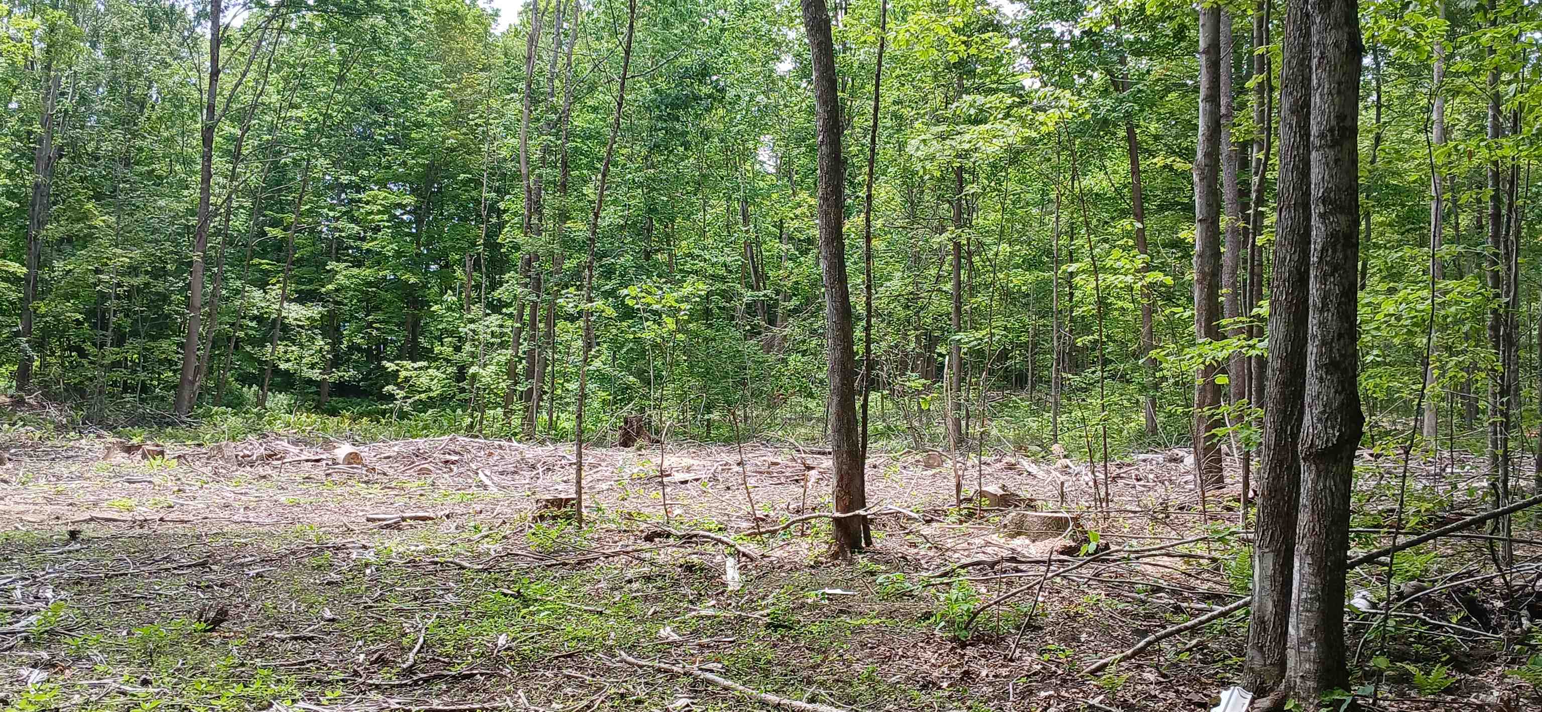 0 North Pond Road Salisbury, VT 05769 - Photo 21 of 31