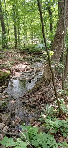 $327,500 | 0 North Pond Road, Salisbury, VT 05769